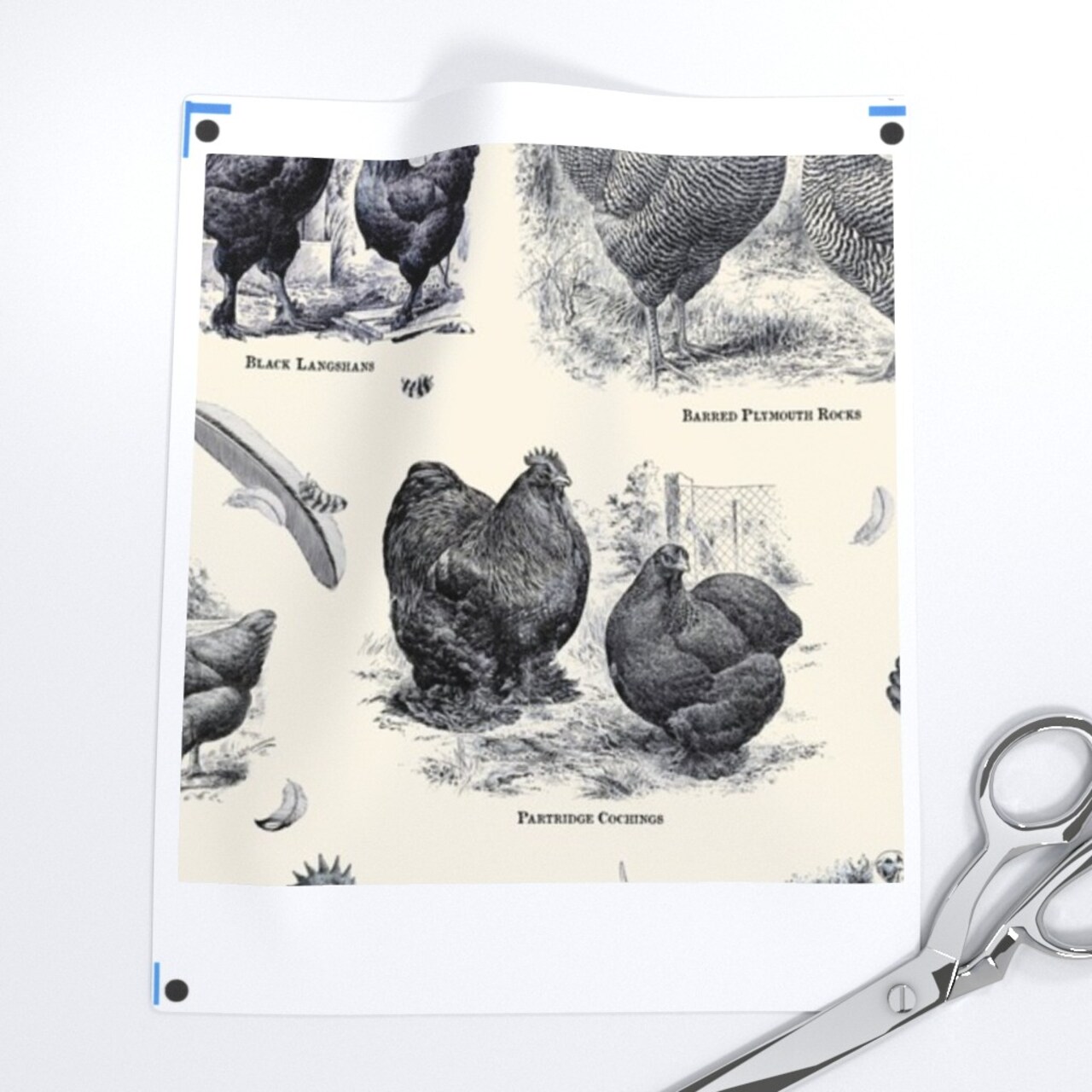 Poultry Cream Black Toile Vintage Antique Victorian Historical Chicken Custom Removable Wallpaper by Spoonflower Peel & Stick Wallpaper 2FT Wide
